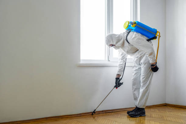 Best Pest Removal Services  in Sanborn, IA