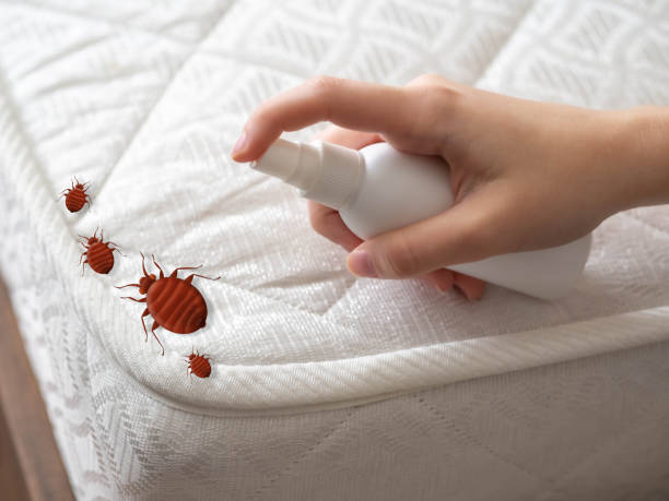 Best Cockroach Control Services  in Sanborn, IA